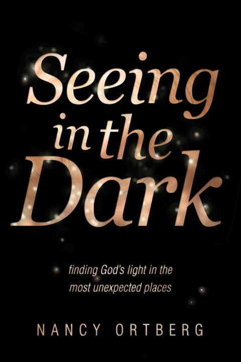 Cover image for book Seeing in the Dark