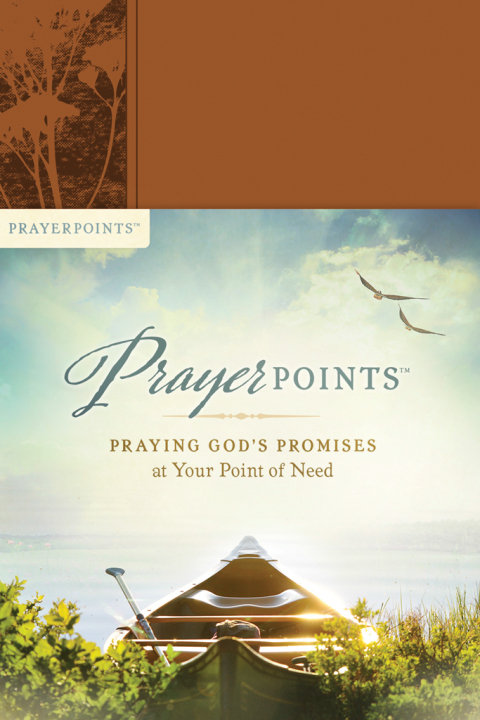 Cover image for book PrayerPoints