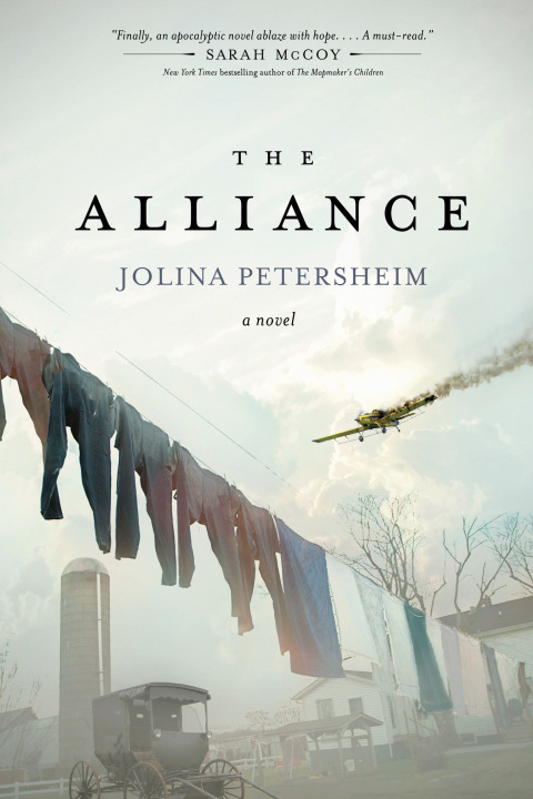 Cover image for book The Alliance
