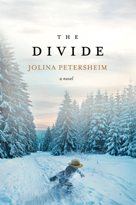 Cover image for book The Divide