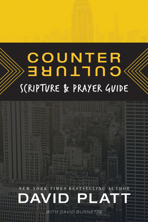 Cover image for book Counter Culture Scripture and Prayer Guide