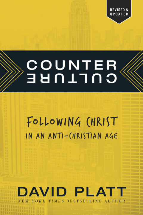 Cover image for book Counter Culture