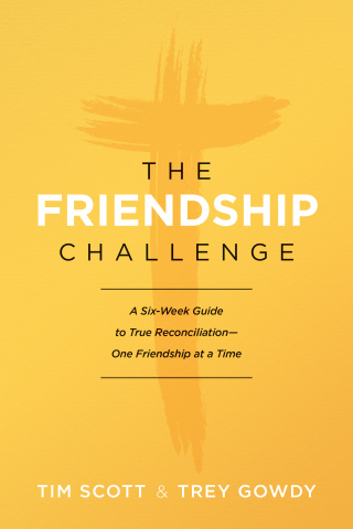 The Friendship Challenge