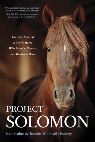 Project Solomon