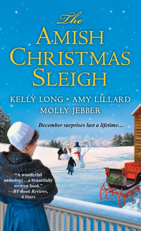 Cover image for book The Amish Christmas Sleigh