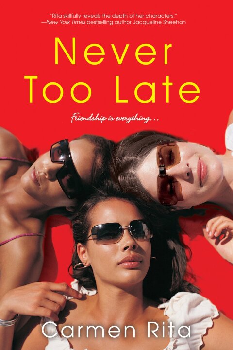 Cover image for book Never Too Late