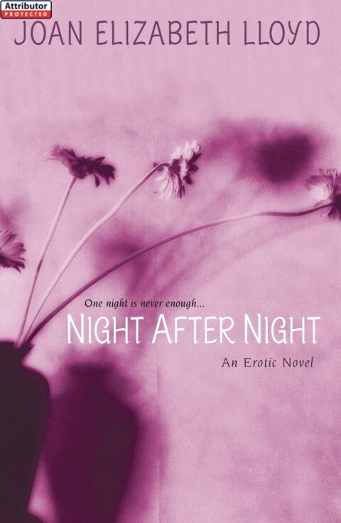 Cover image for book Night After Night
