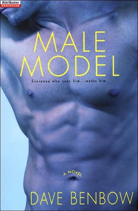 Cover image for book Male Model