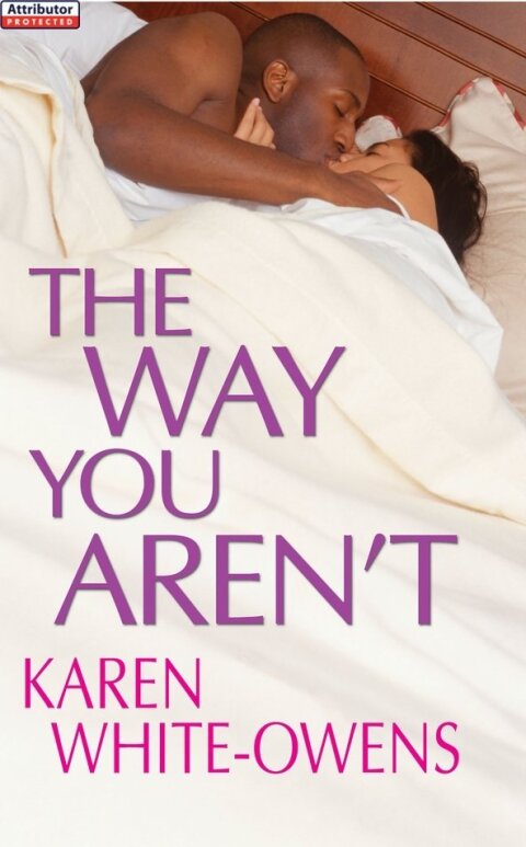 Cover image for book The Way You Aren't