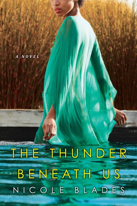Cover image for book The Thunder Beneath Us