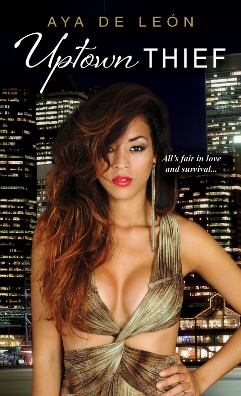 Cover image for book Uptown Thief
