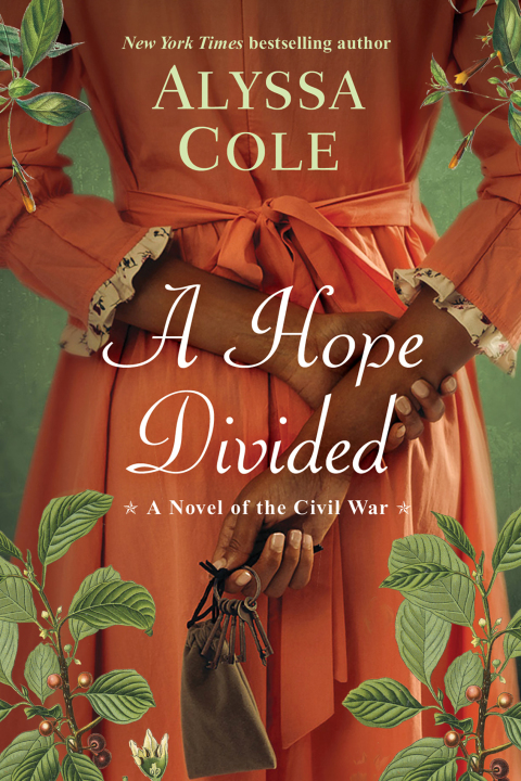 Cover image for book A Hope Divided