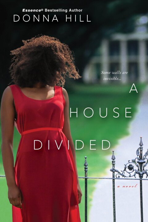 Cover image for book A House Divided