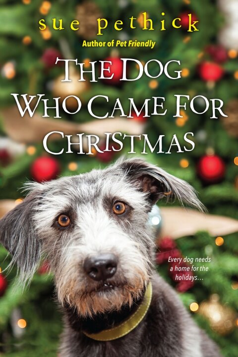 Cover image for book The Dog Who Came for Christmas