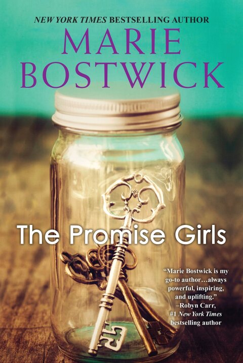Cover image for book The Promise Girls
