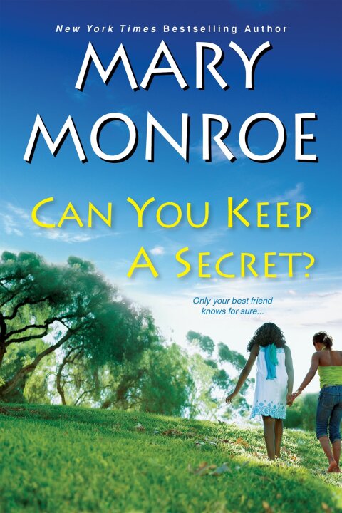 Cover image for book Can You Keep a Secret?