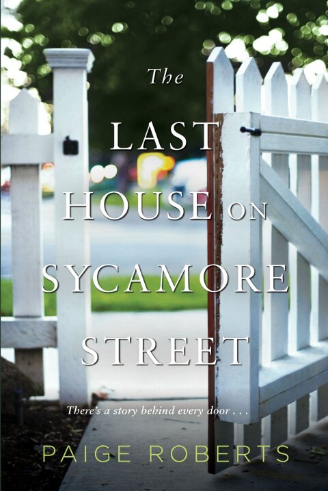 Cover image for book The Last House on Sycamore Street