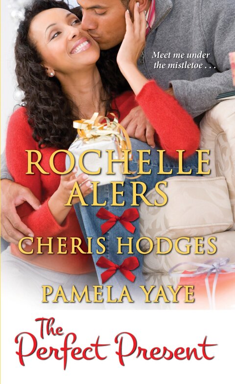 Cover image for book The Perfect Present