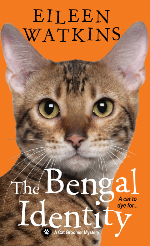 Cover image for book The Bengal Identity