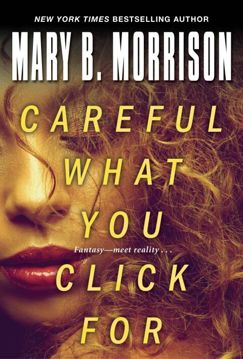 Cover image for book Careful What You Click For