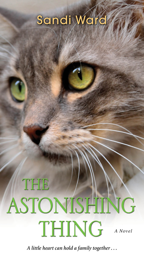 Cover image for book The Astonishing Thing