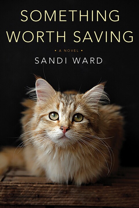 Cover image for book Something Worth Saving