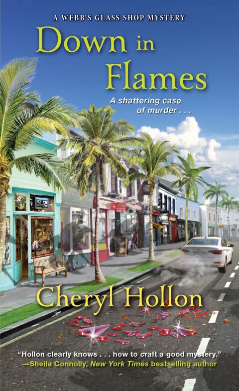 Cover image for book Down in Flames