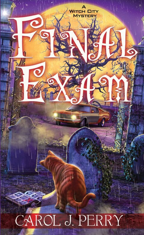 Cover image for book Final Exam