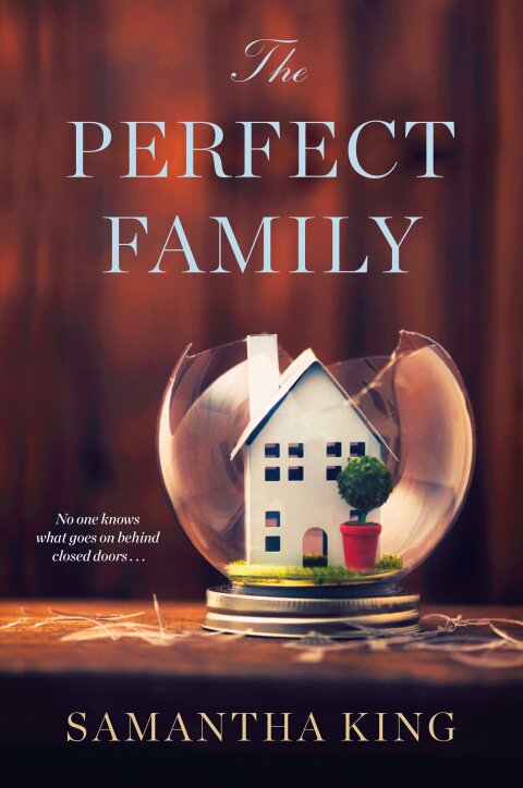 Cover image for book The Perfect Family