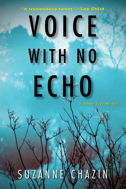 Cover image for book Voice with No Echo