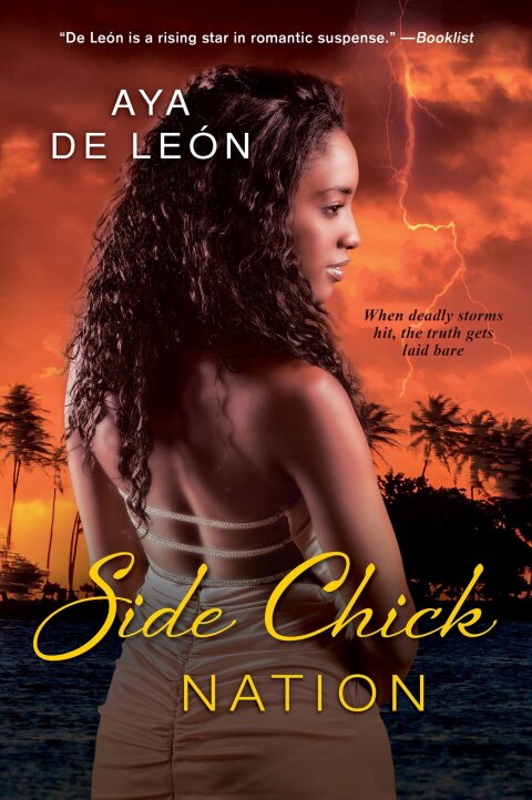 Cover image for book Side Chick Nation
