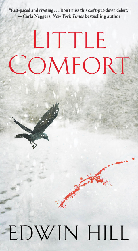 Cover image for book Little Comfort