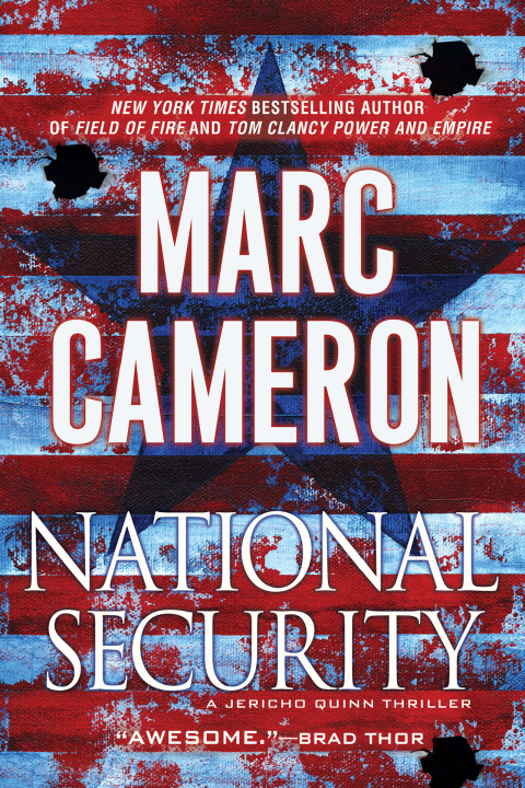 Cover image for book National Security