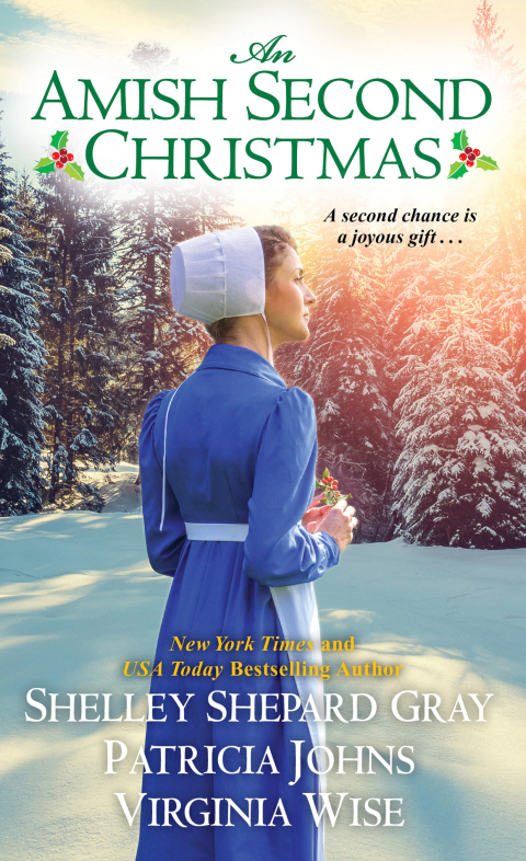 Cover image for book An Amish Second Christmas
