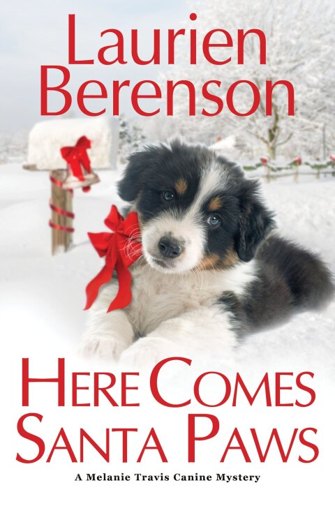 Cover image for book Here Comes Santa Paws