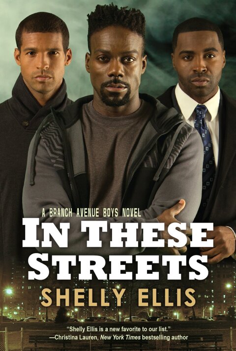 Cover image for book In These Streets