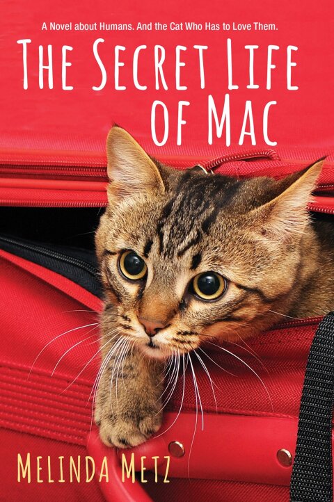 Cover image for book The Secret Life of Mac