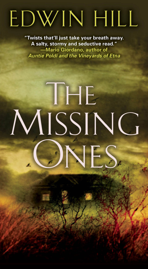 Cover image for book The Missing Ones