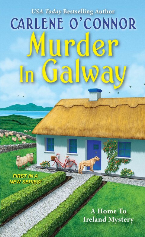 Cover image for book Murder in Galway