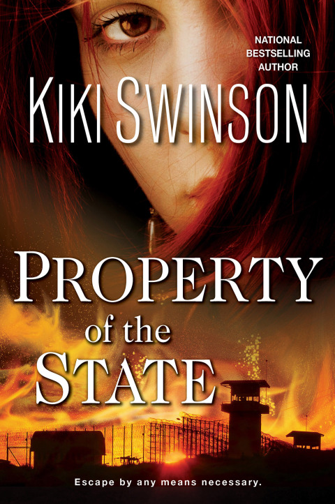 Cover image for book Property of the State