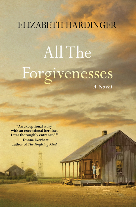 Cover image for book All the Forgivenesses