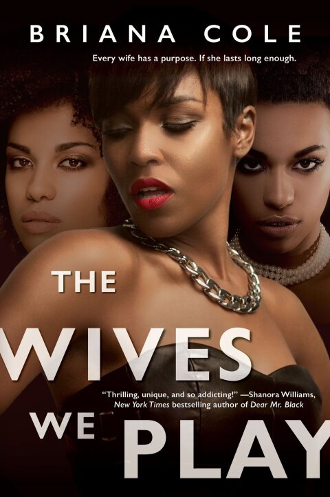 Cover image for book The Wives We Play