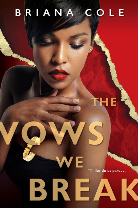 Cover image for book The Vows We Break