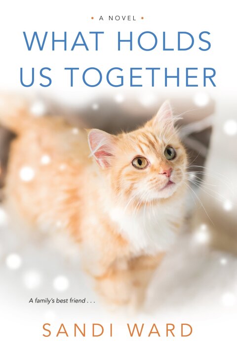 Cover image for book What Holds Us Together