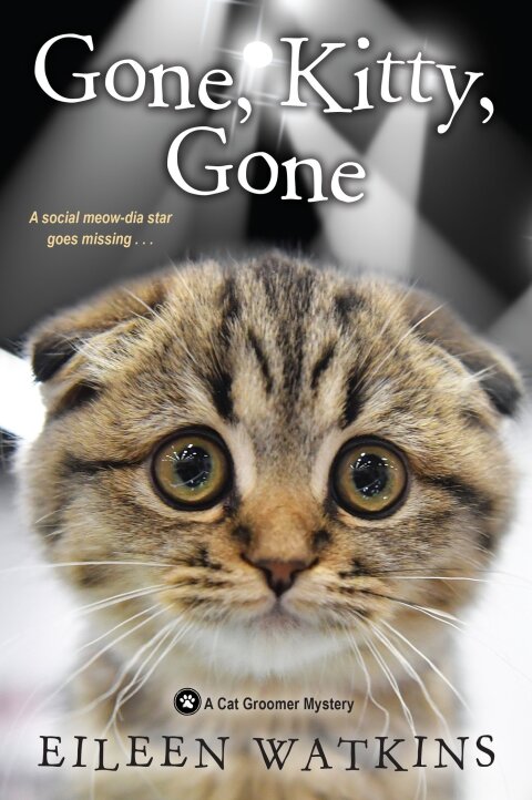 Cover image for book Gone, Kitty, Gone