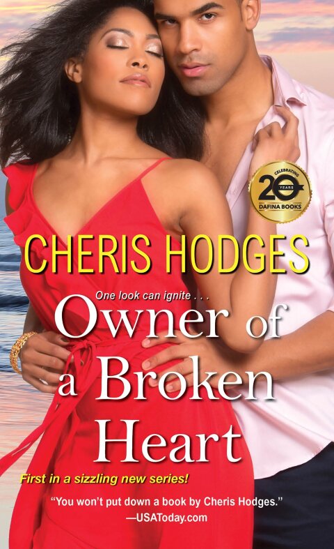 Cover image for book Owner of a Broken Heart