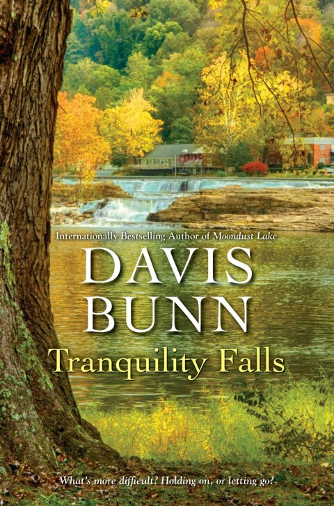 Cover image for book Tranquility Falls
