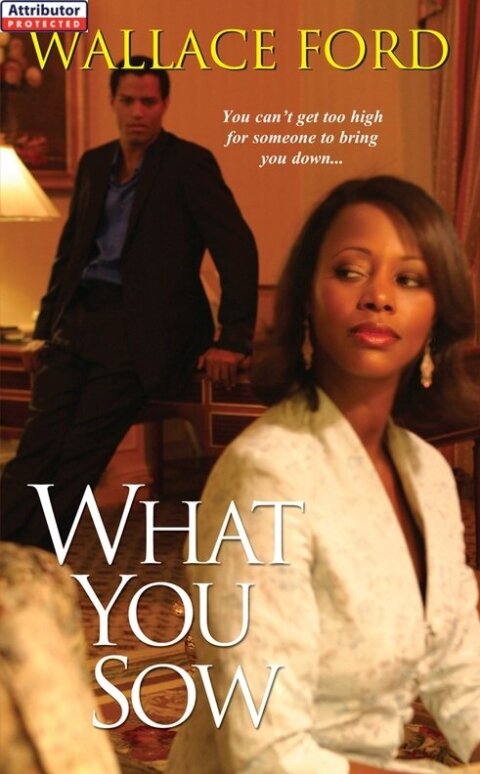 Cover image for book What You Sow