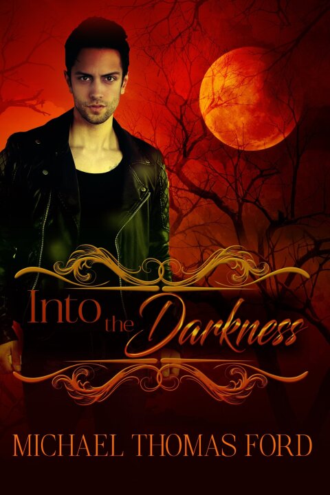 Cover image for book Into the Darkness
