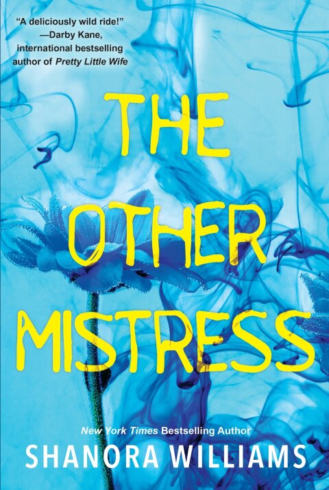 Cover image for book The Other Mistress